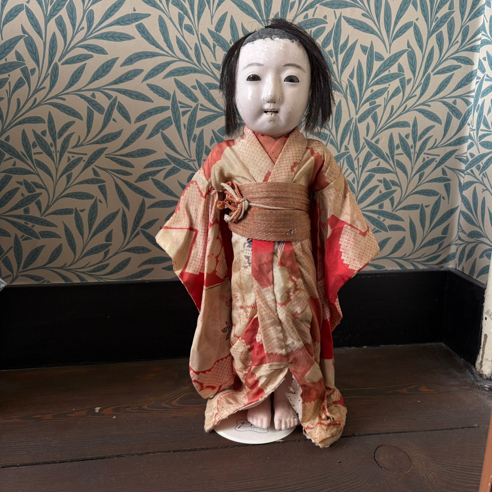 Grote Japanse Ichimatsupop, Ophalen