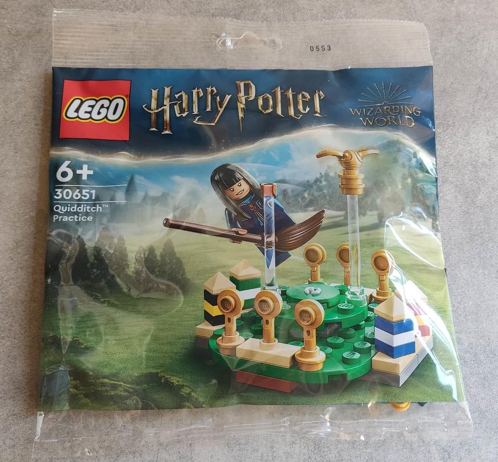 lego harry potter 30651 zwerkbal training, Enfants & Bébés, Jouets | Duplo & Lego, Neuf, Lego, Ensemble complet, Harry Potter