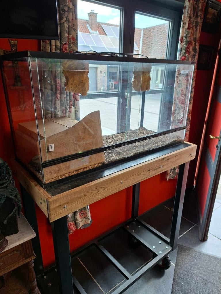 Terrarium met voet, Dieren en Toebehoren, Ophalen