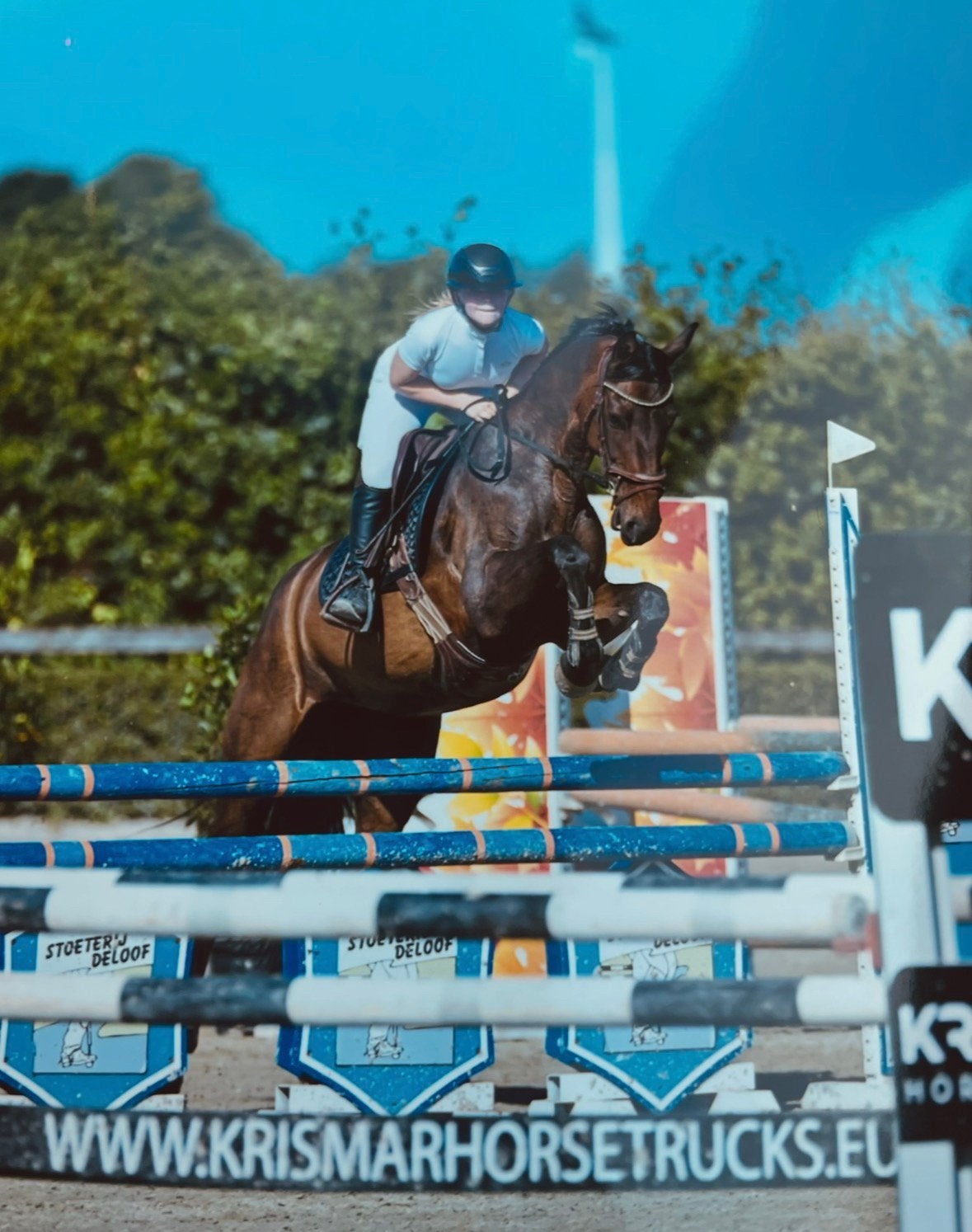 Allerliefste GOEDGEKEURDE allround merrie te koop, Merrie, Met stamboom, M, Dressuurpaard