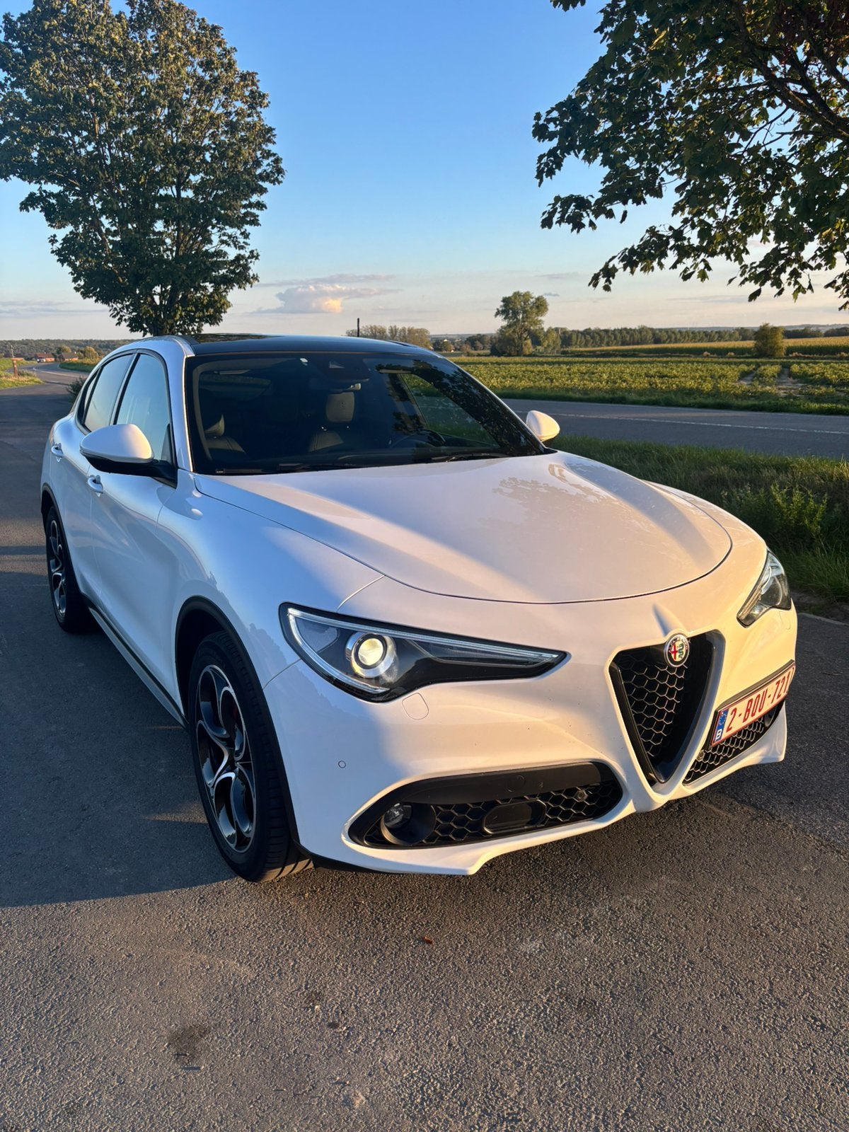 Stelvio 2.2 diesel 160cv, Autos, Cuir, Achat, Euro 6, Entretenue par le concessionnaire