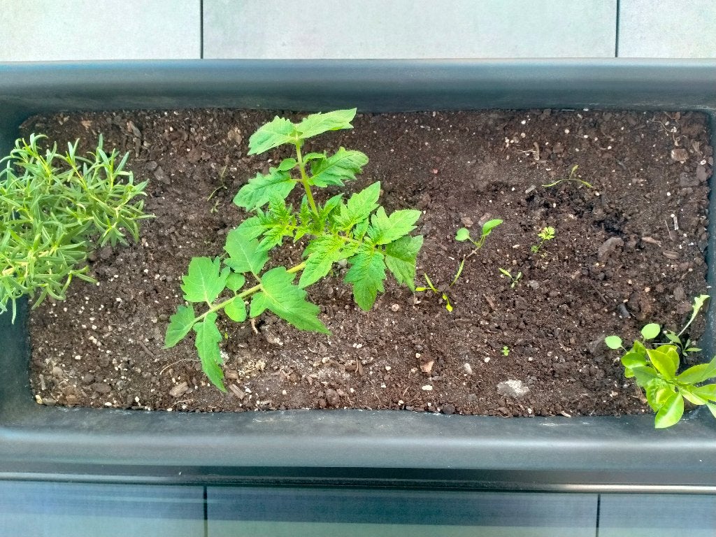 Plantenbak, Tuin en Terras, Ophalen, Kunststof, Zo goed als nieuw, Binnen