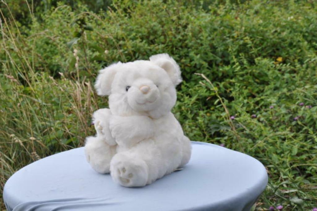 § peluche ours blanc (n2), Enlèvement ou Envoi, Comme neuf, Ours