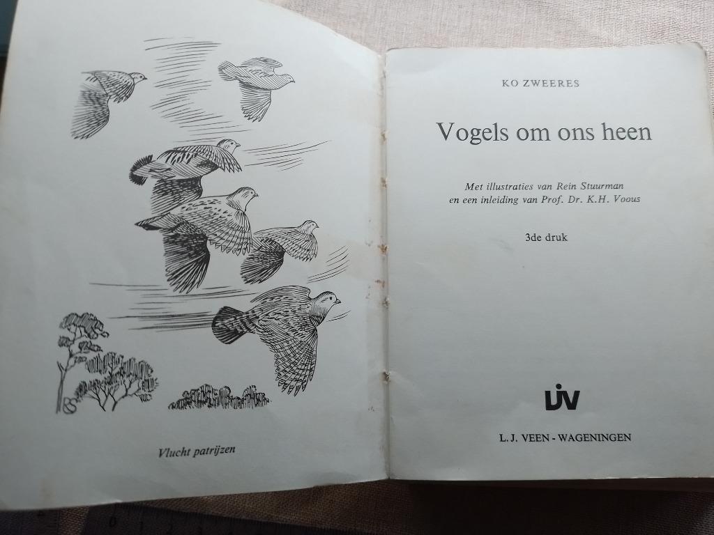 alles over vogels om ons heen sinterklaas kerst Ko Zweeres, Ophalen of Verzenden, Vogels
