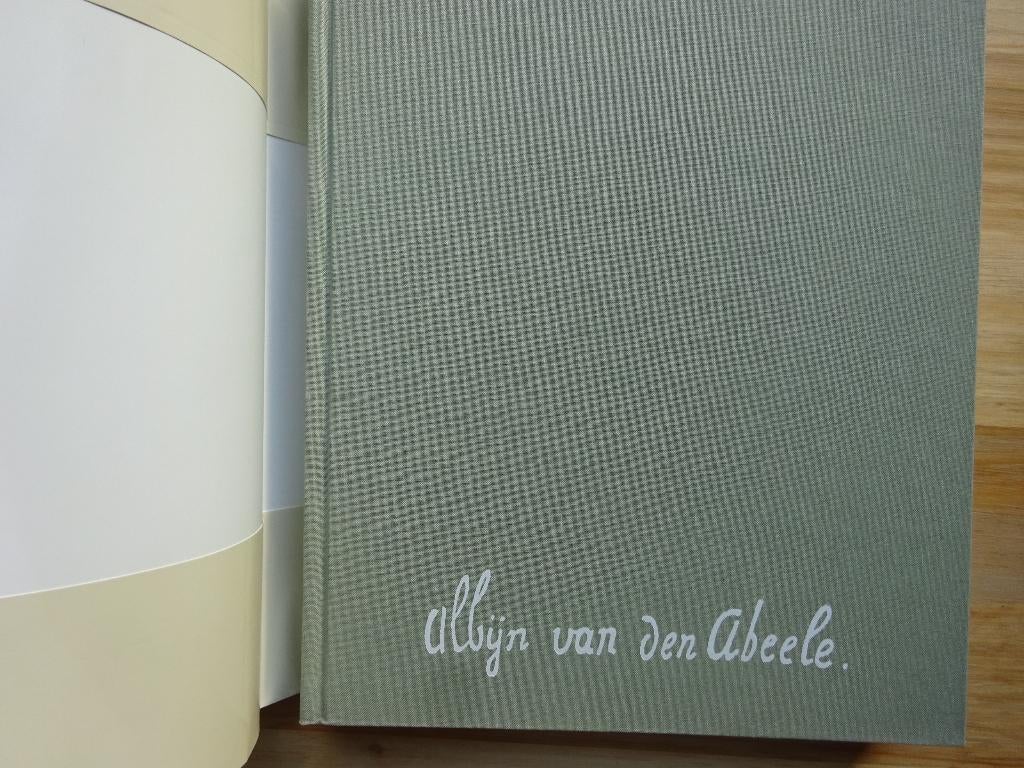 Albijn Van den Abeele - 1993 - monografie, oeuvrecatalogus, Ophalen of Verzenden, Zo goed als nieuw, Raf Van den Abeele, Schilder- en Tekenkunst
