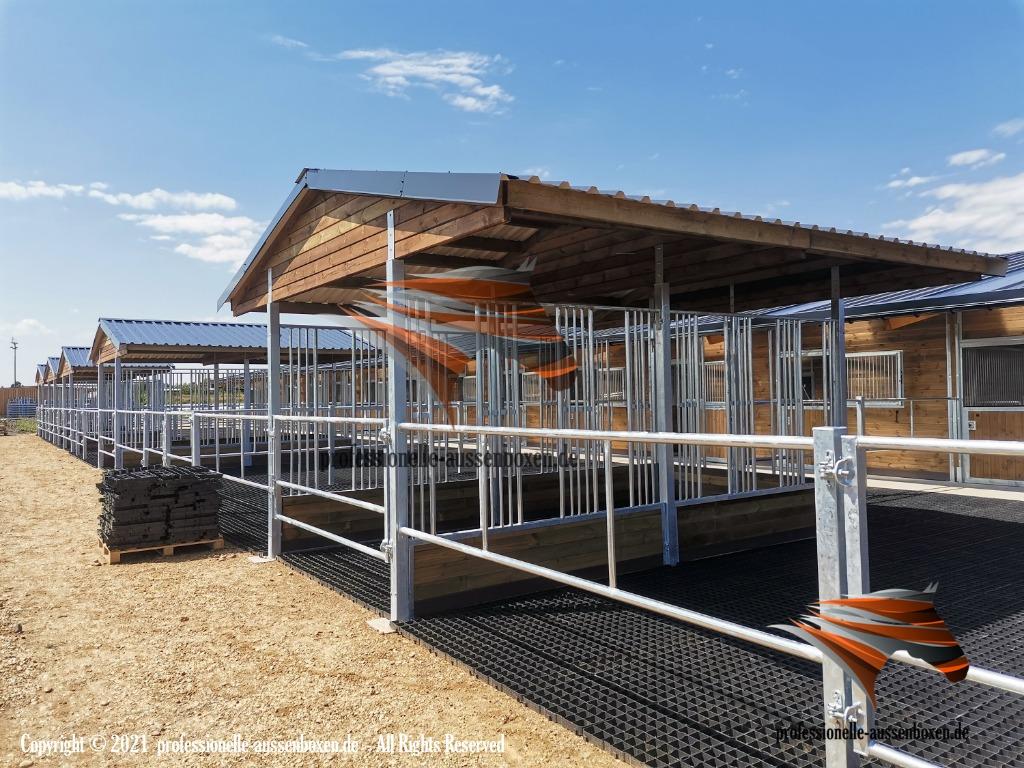 Paardenruif & Hooiruif voor Paarden en Hooibak / Voerhek, Weidegang