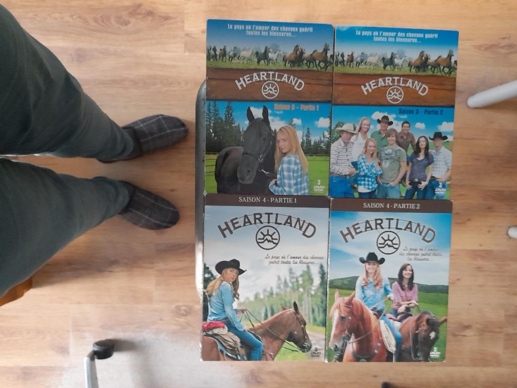 Heartland saison 3-6, À partir de 6 ans, Envoi, Drame