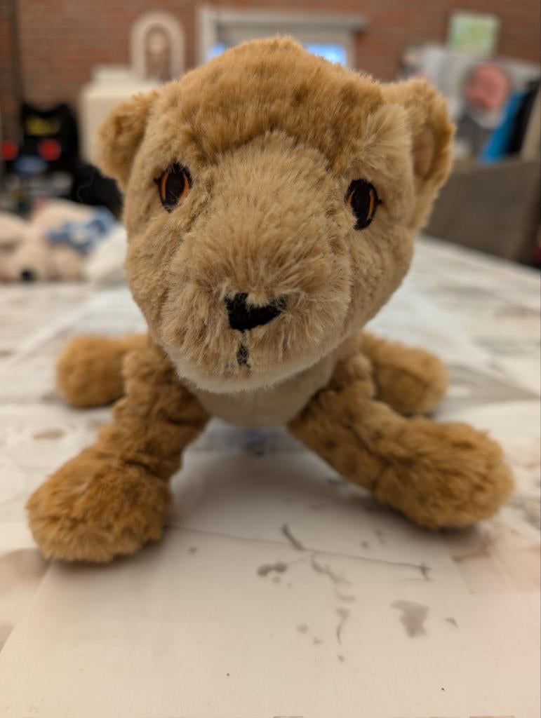 Lion, Enlèvement ou Envoi, Comme neuf
