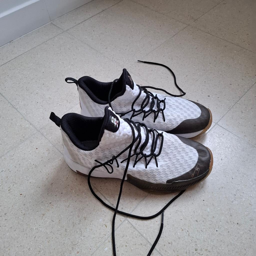 Peak basket schoenen maat 43, Enlèvement, Chaussures