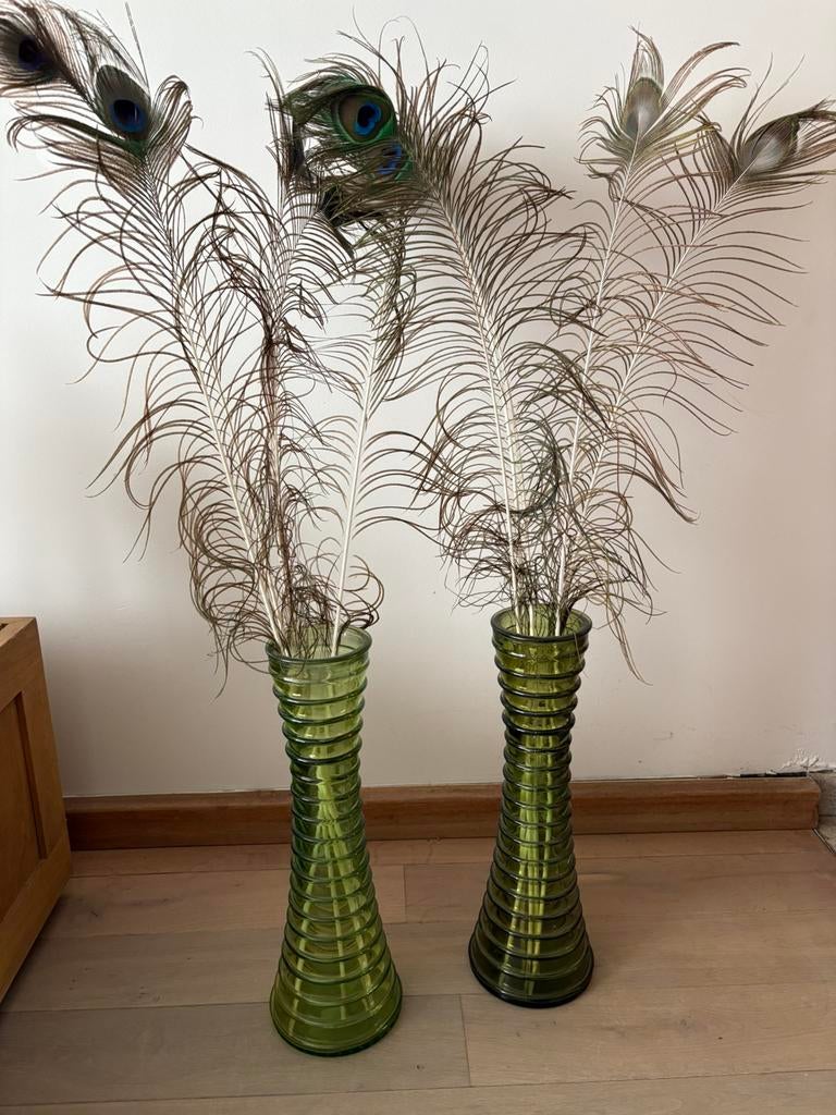2 groene, smalle vazen met pauwenveren, Enlèvement, Comme neuf