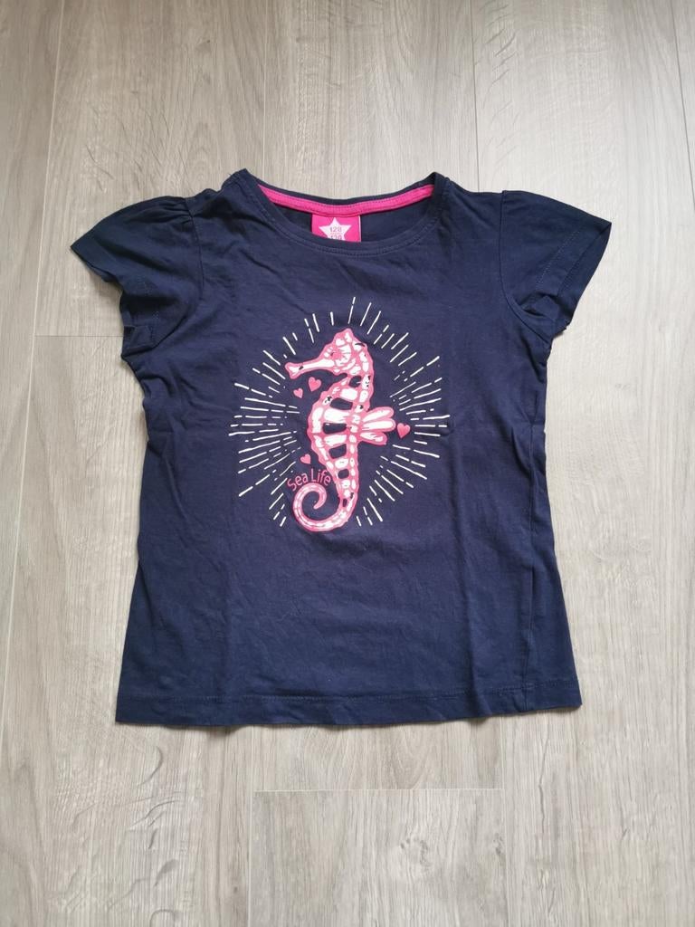 T-shirt zeepaardje - maat 128, Kinderen en Baby's, Ophalen of Verzenden, Zo goed als nieuw, Meisje, Shirt of Longsleeve
