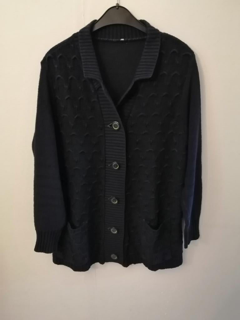 Donkerblauwe gilet, Kleding | Dames, Ophalen of Verzenden, Gedragen, Blauw