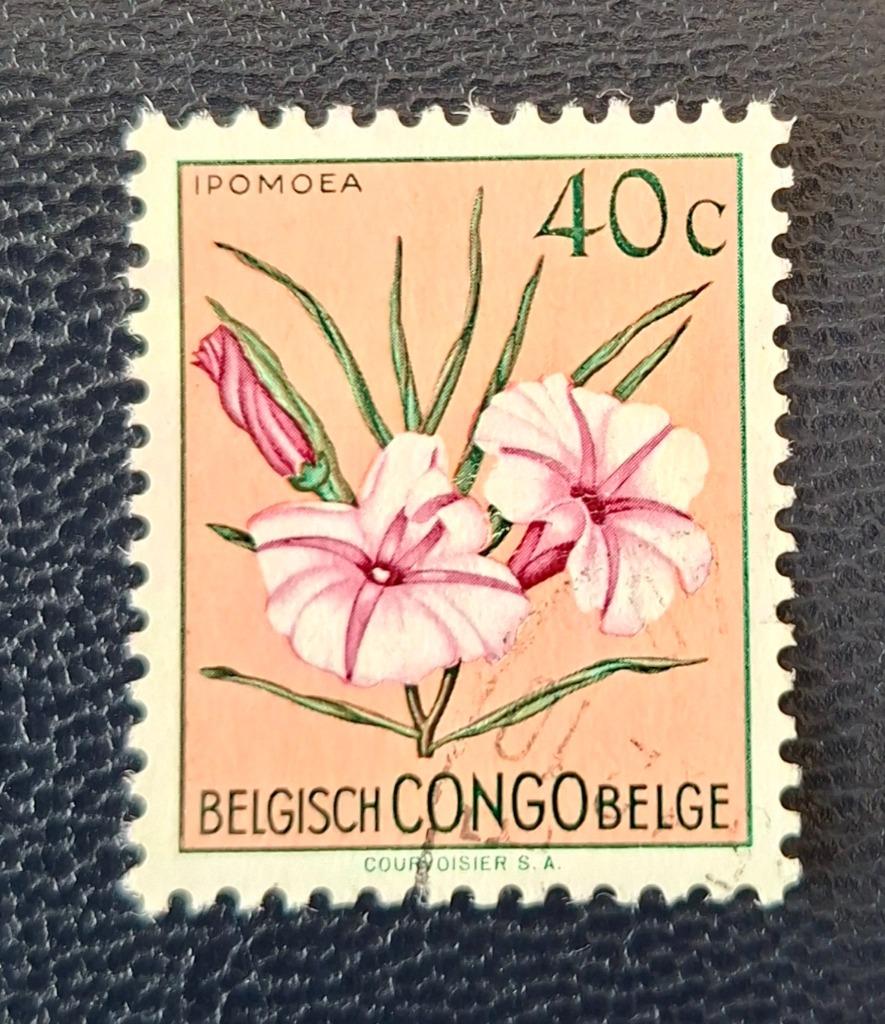 Timbre OBP 306 du Congo belge, Enlèvement ou Envoi, Affranchi, Oblitéré