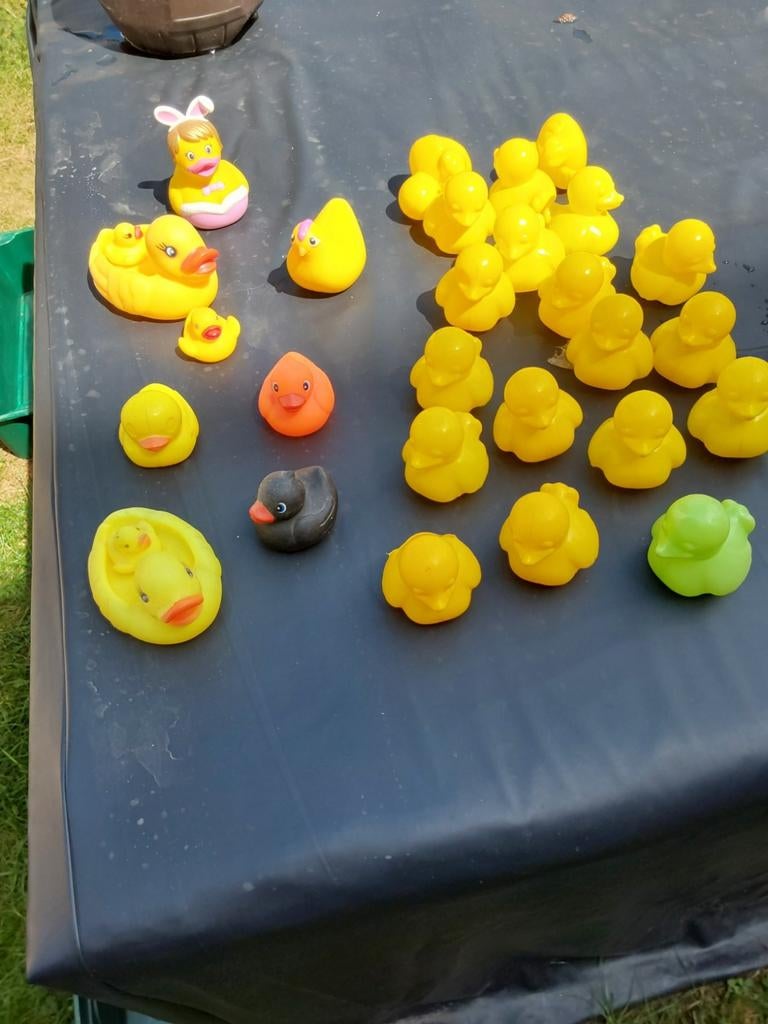 Plusieurs sorte canard en plastique20 pièces parfait état18€, Enlèvement, Comme neuf