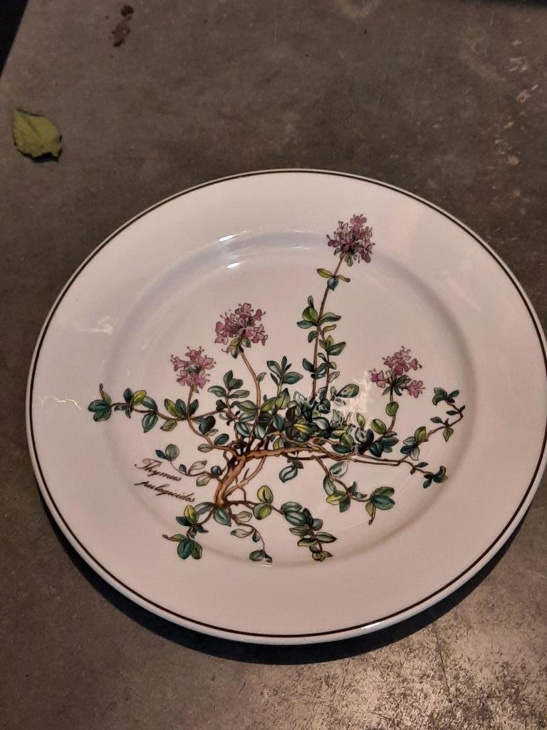 VILLEROY BOCH  dessertbord botanica, Enlèvement ou Envoi