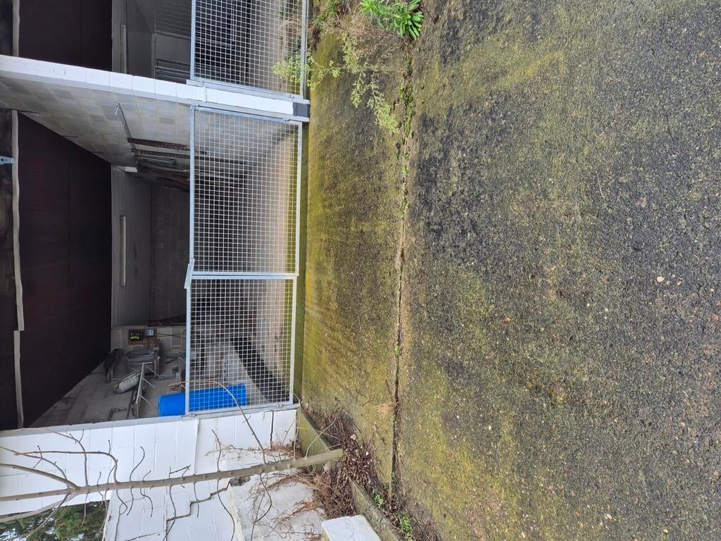 Poort, Tuin en Terras, Ophalen, Zo goed als nieuw