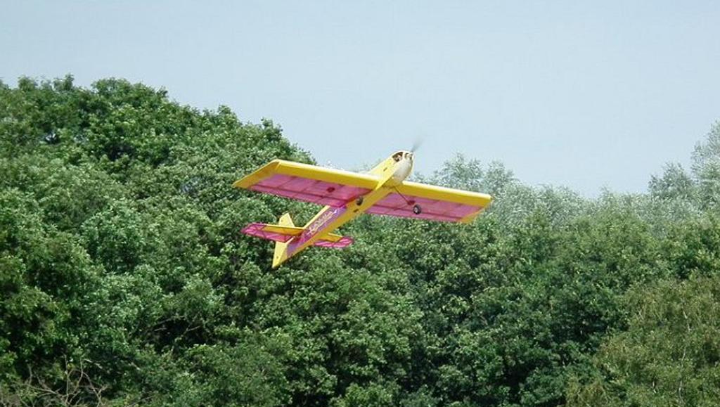 JR Models Diablotin Funflyer, Ophalen, Gebruikt, Elektro, RTF (Ready to Fly)