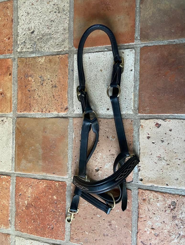 Halster leder zwart, Dieren en Toebehoren, Ophalen, Gebruikt, Overige soorten