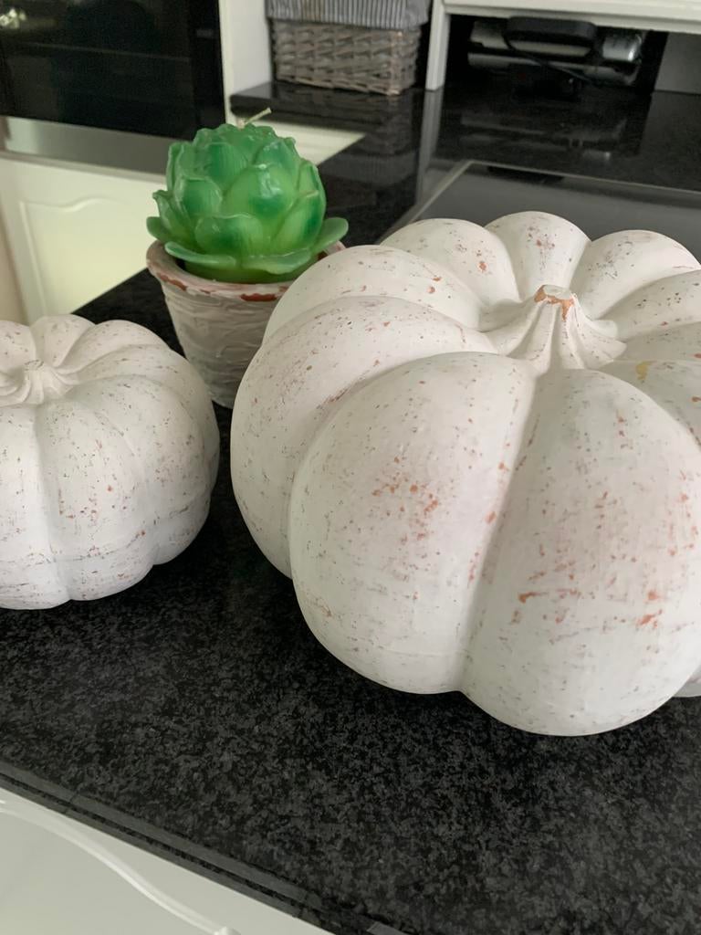 Pompoenen in zware beton/terra cotta, mooi derocatief, Ophalen, Zo goed als nieuw