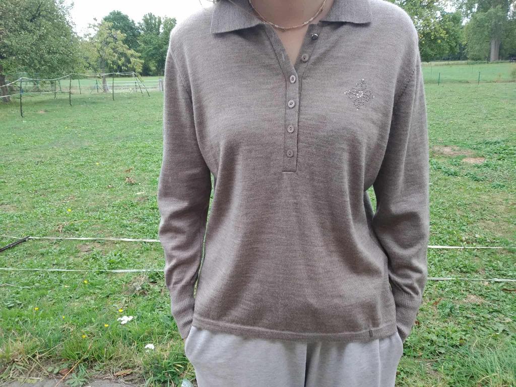 fijn wollen lichtbruin pulletje merk Lucia maat 42, Kleding | Dames, Bruin, Maat 42/44 (L), Ophalen of Verzenden, Zo goed als nieuw