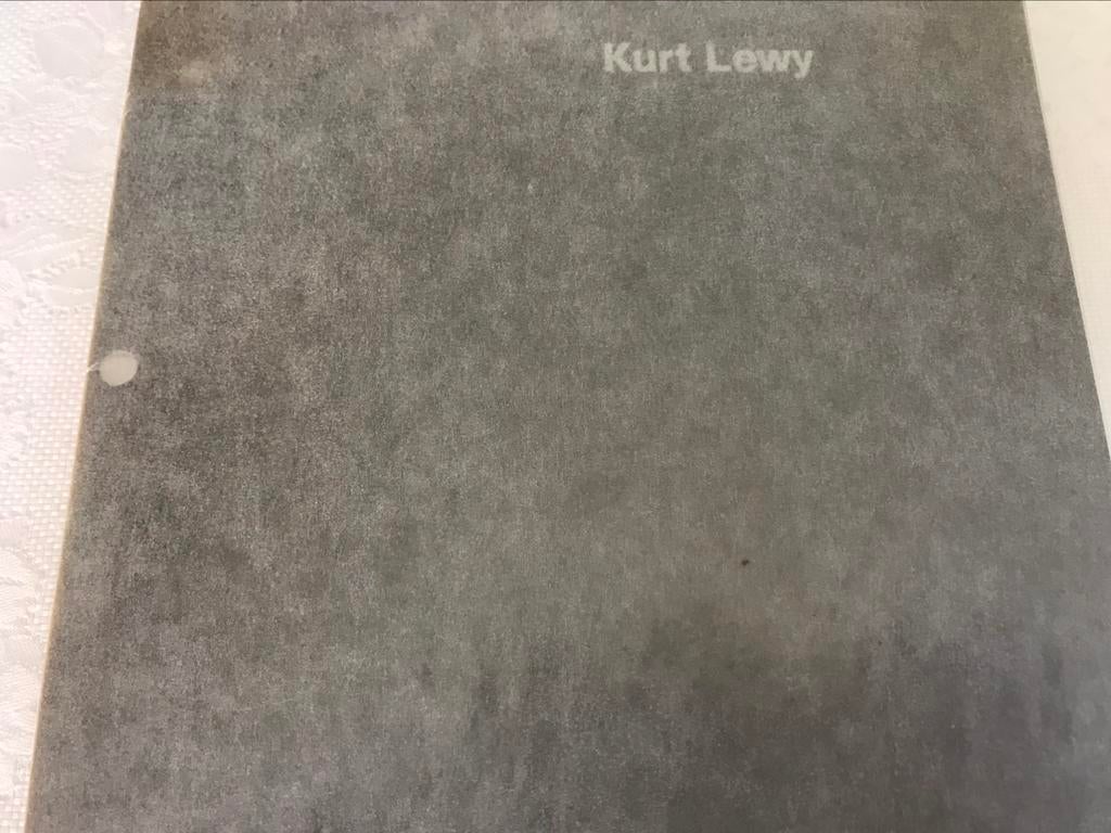 Kurt Lewy Art Abstrait catalogus jaren 79, 15pag, Ophalen of Verzenden, Zo goed als nieuw, Schilder- en Tekenkunst