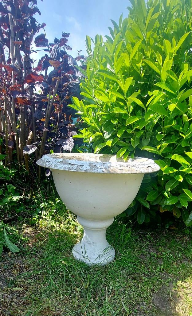 Tuinvaas, tuinpot in beton, Ophalen