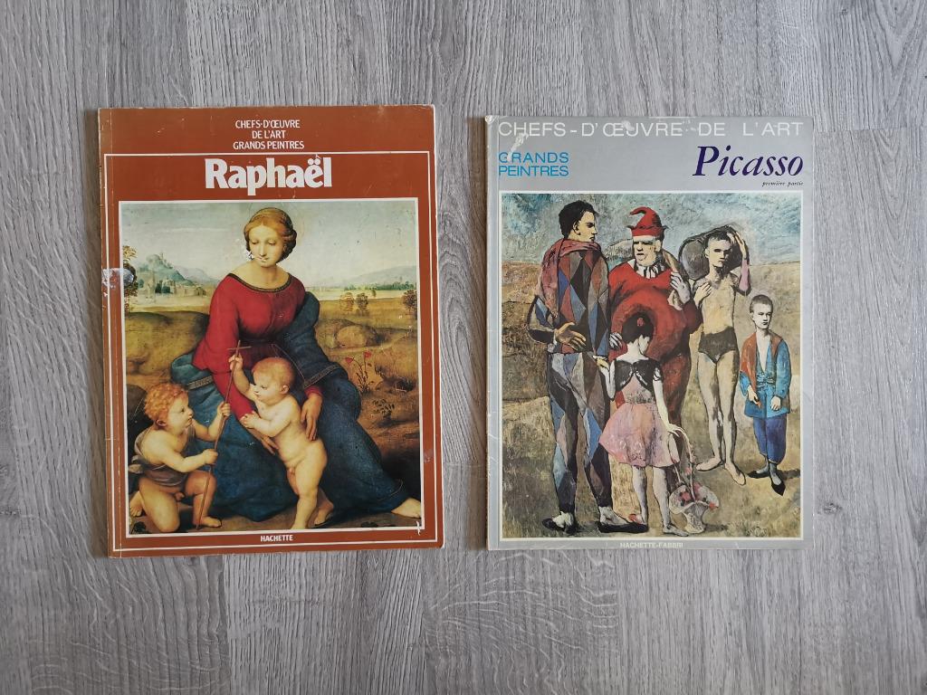 Lotje kunstboeken groot formaat, Ophalen of Verzenden, Gelezen, Schilder- en Tekenkunst