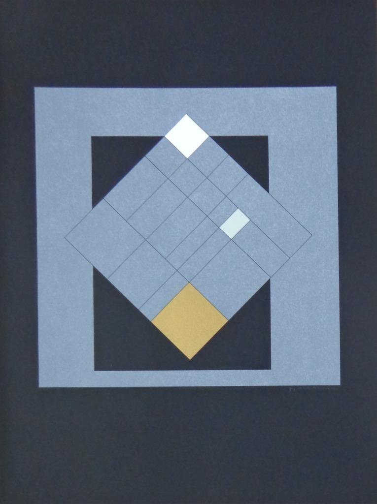 GUY VANDENBRANDEN / KUNST CAMPUS / KLEURZEEFDRUK / 72x55cm, Ophalen of Verzenden