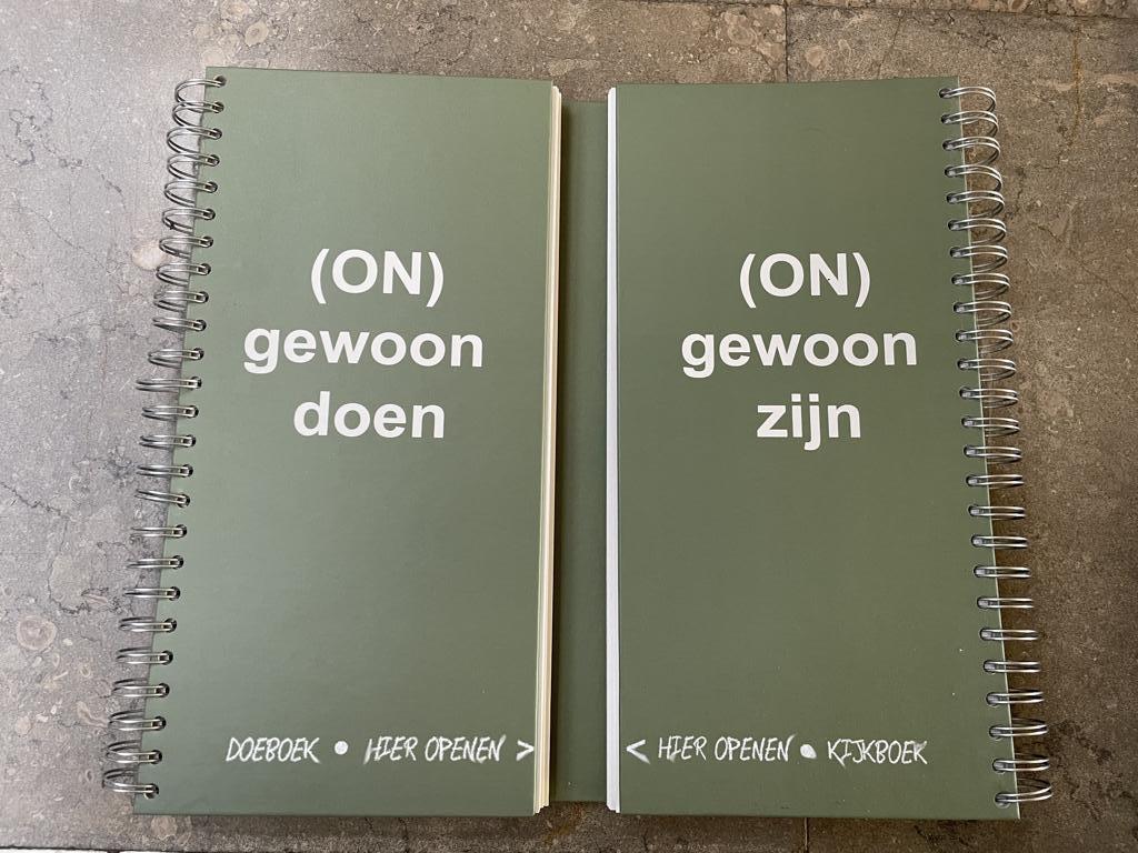 (On)gewoon doen (On)gewoon zijn, Boeken, Ophalen of Verzenden, Nieuw, Hogeschool