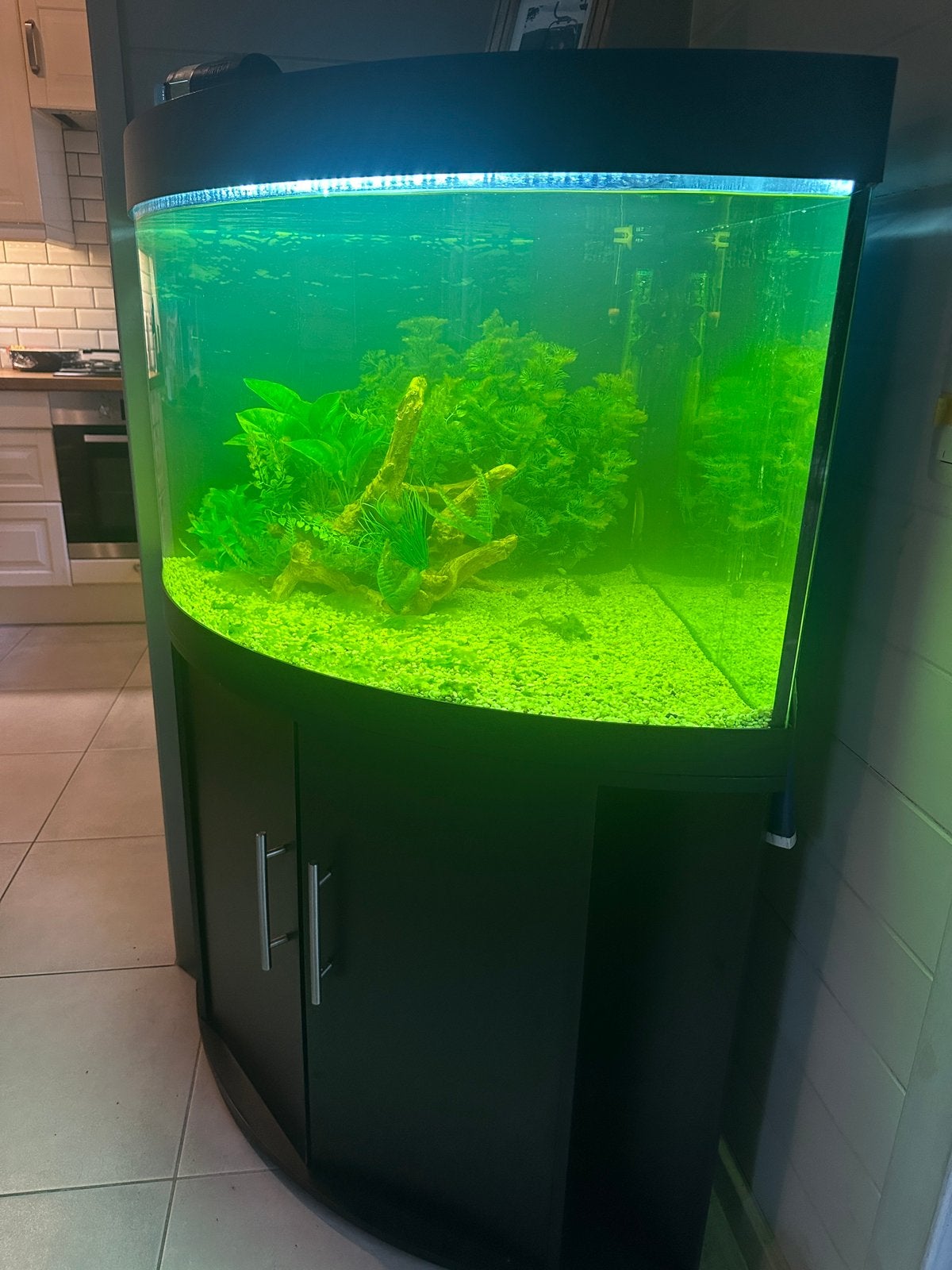 Juwel aquarium te koop, Dieren en Toebehoren, Ophalen, Gebruikt, Inclusief vissen, Gevuld zoetwateraquarium