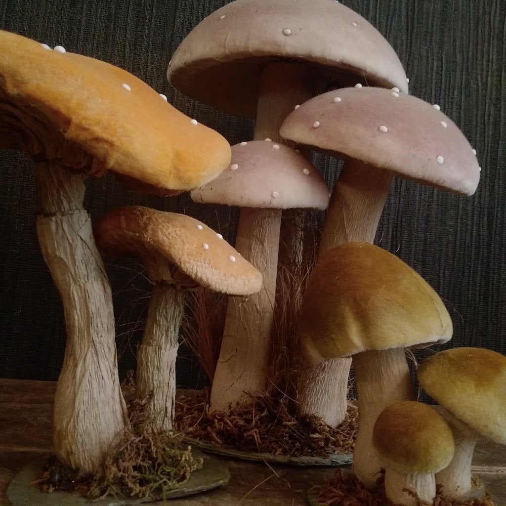 Prachtige set paddenstoelen in papier-mâche. 3stuks, Verzenden