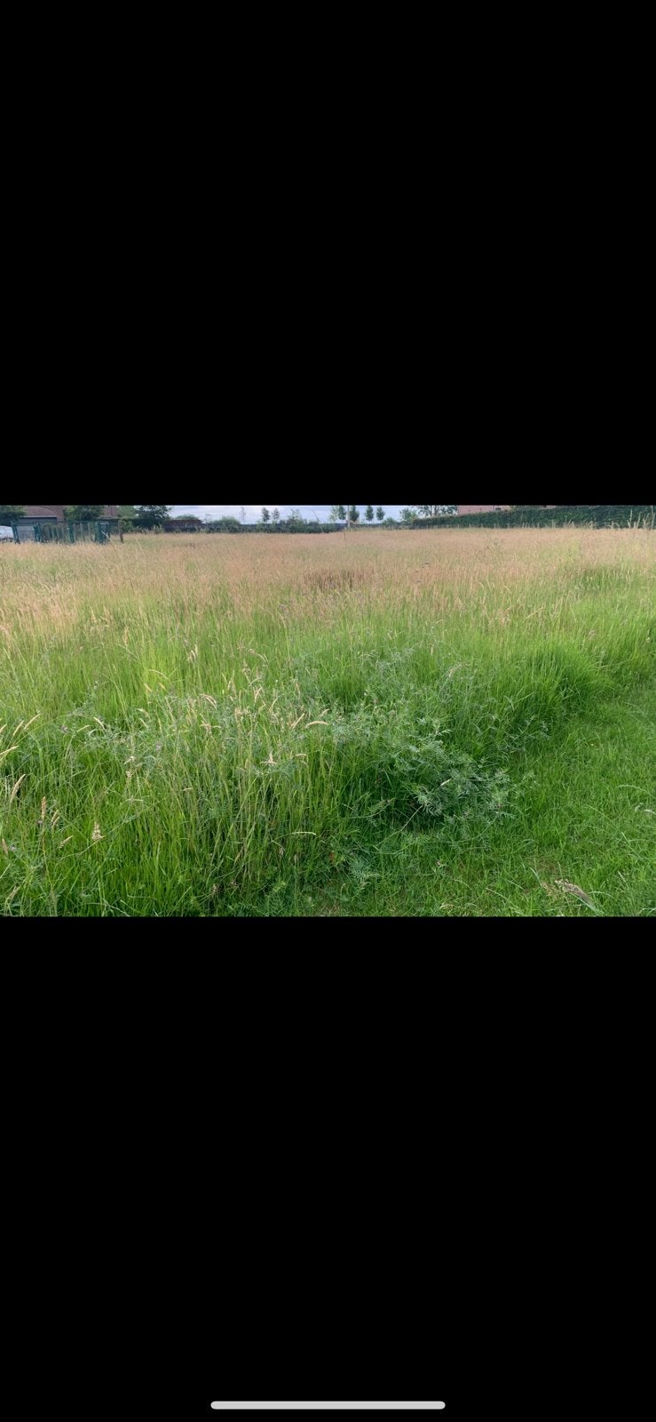 Weide te huur, Dieren en Toebehoren