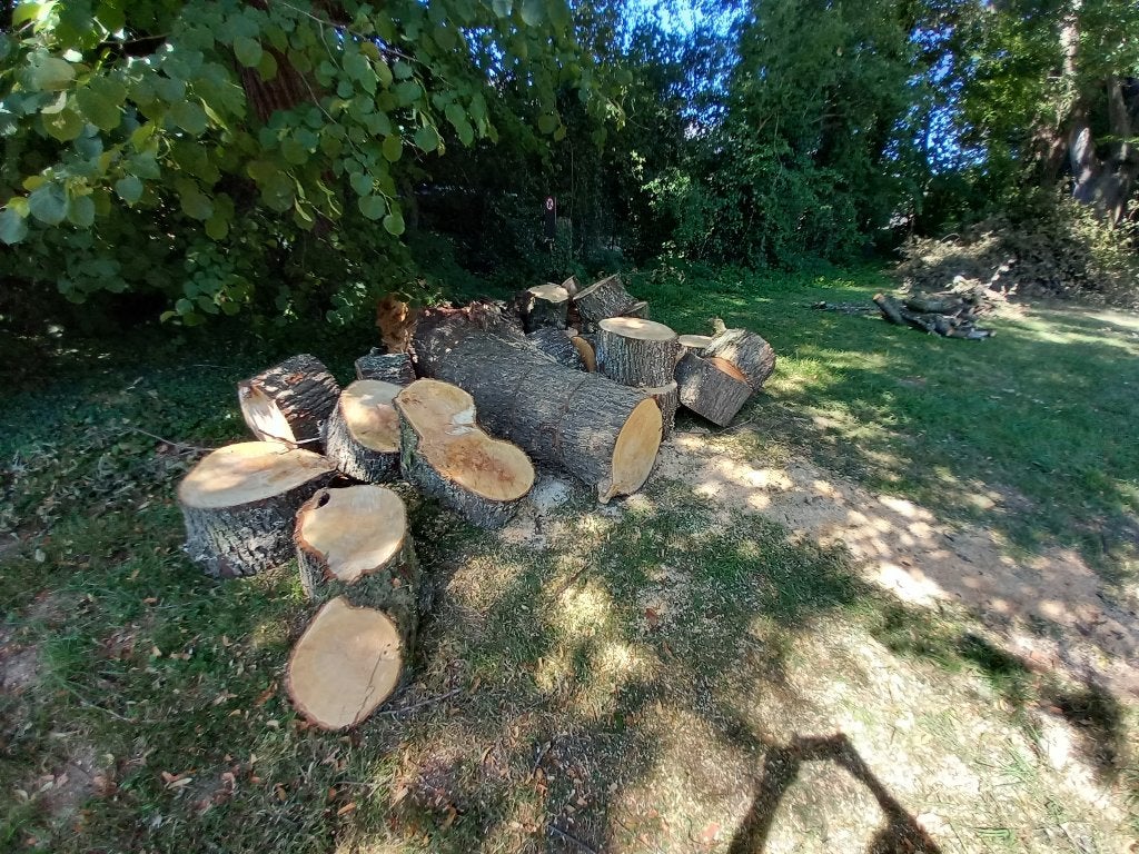 Bois de chauffage tilleul, Enlèvement