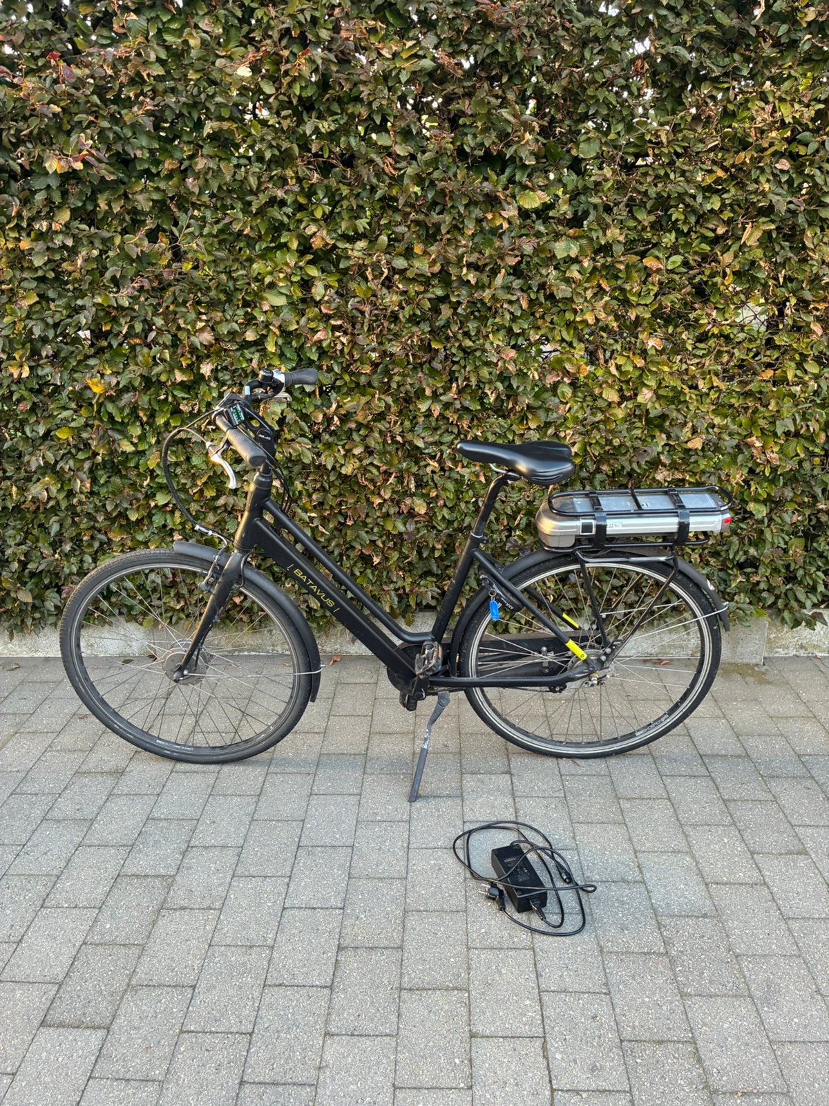 Batavus elektrische fiets, Enlèvement
