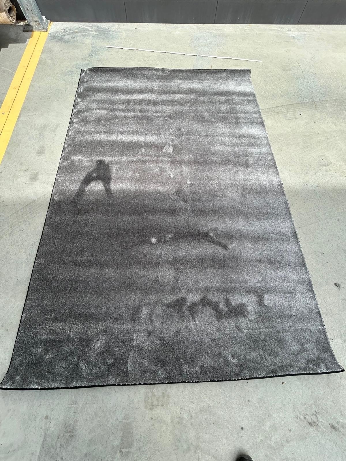 Tapijt 300x200, 200 cm ou plus, Gris, 200 cm ou plus, Enlèvement