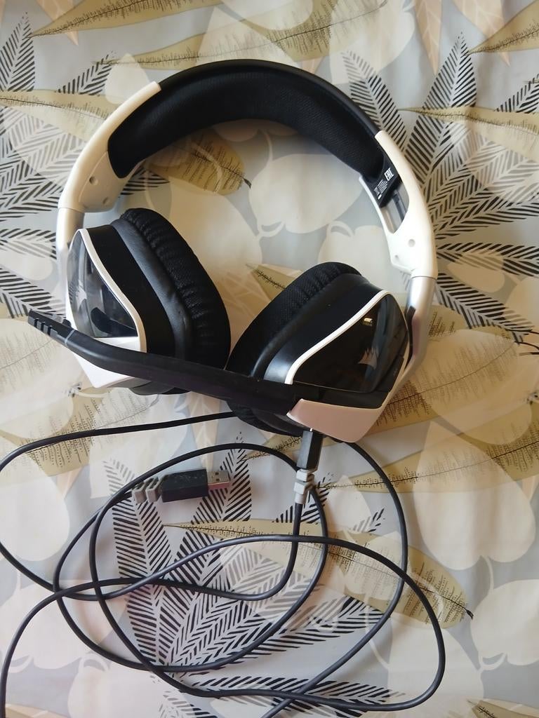 Casque corsair blanc, Enlèvement
