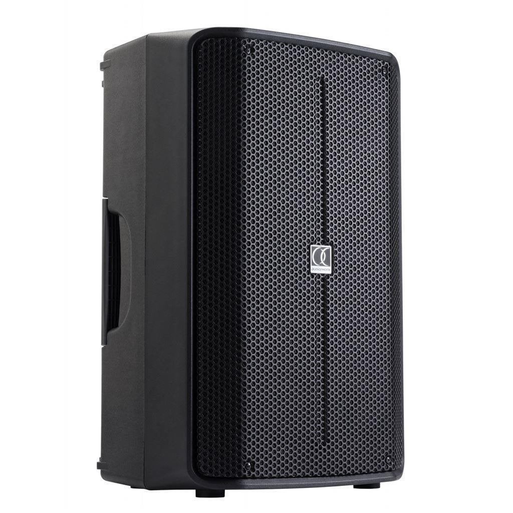Actieve luidspreker 700 Watt Max 350Watt RMS 12 Inch, Audio, Tv en Foto, Luidsprekerboxen, Bluetooth, Ophalen of Verzenden, Nieuw