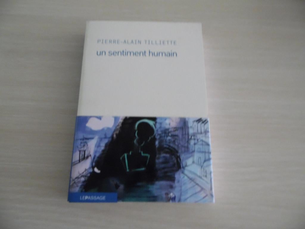 UN SENTIMENT HUMAIN         PIERRE-ALAIN TILLIETTE, Livres, Romans, Comme neuf, Europe autre, Enlèvement ou Envoi