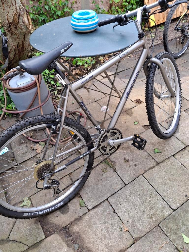 Minerva..grijs..nieuwebanden en remmen .voor pers tot 175 cm, Fietsen en Brommers, Ophalen
