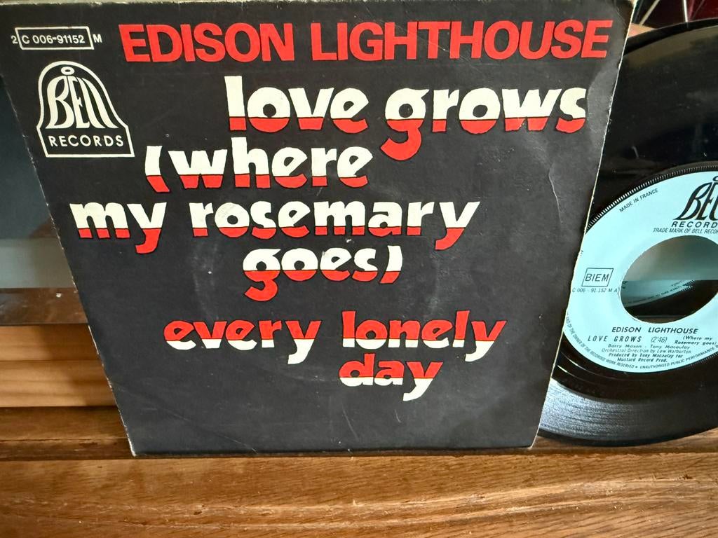 LoveGrows,(Where My Rosemary Goes) - Every Lonely Day, Originele persing, 7 inch, Single, Ophalen of Verzenden