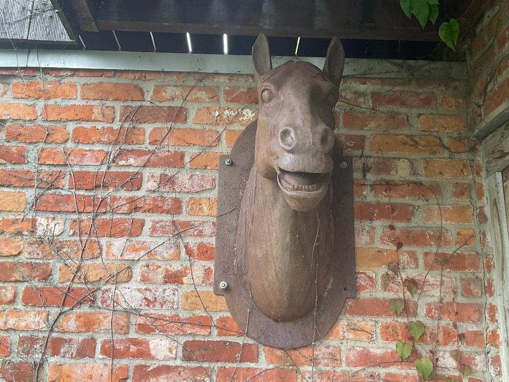Gietijzeren paardekop, Ophalen