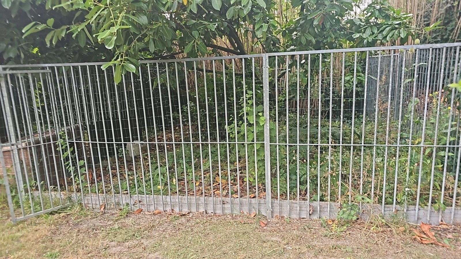 grote hondenkennel te koop, Tuin en Terras, Ophalen, Gebruikt, Overige typen, Overige materialen