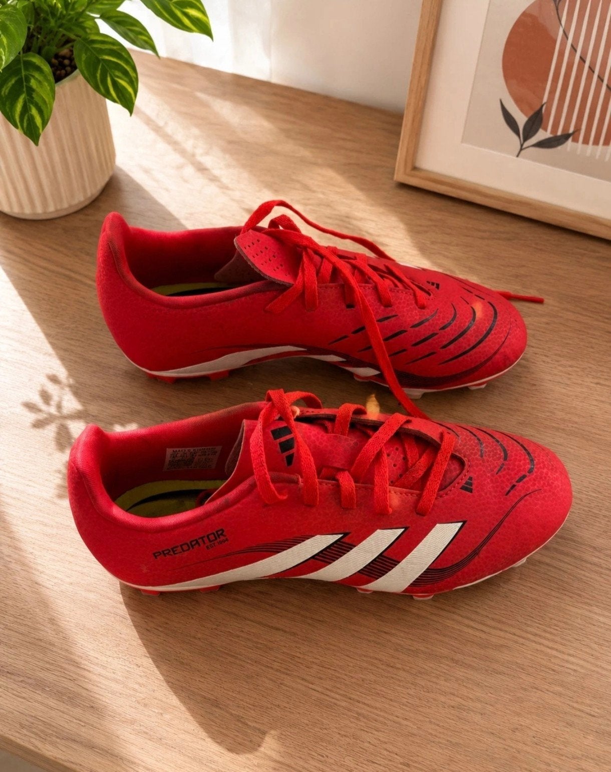 Adidas predator maat 36, Ophalen of Verzenden