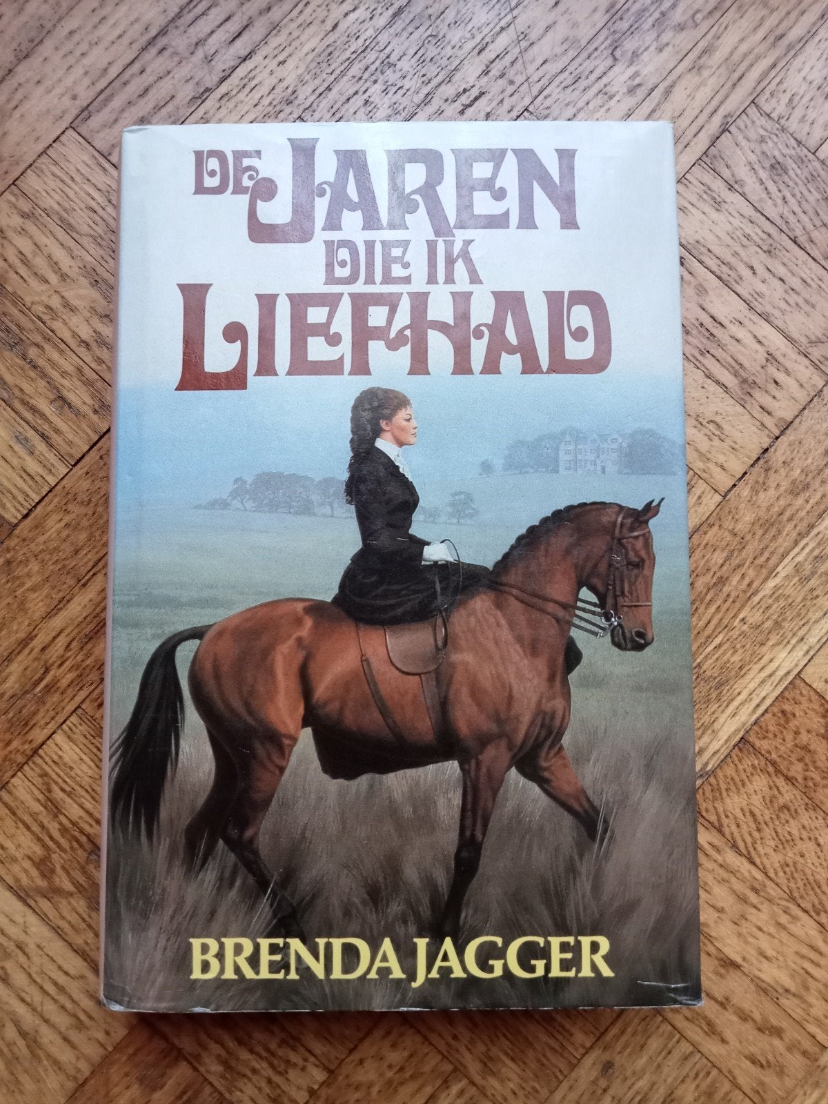 Brenda Jagger: De jaren die ik liefhad, Ophalen of Verzenden, Gelezen