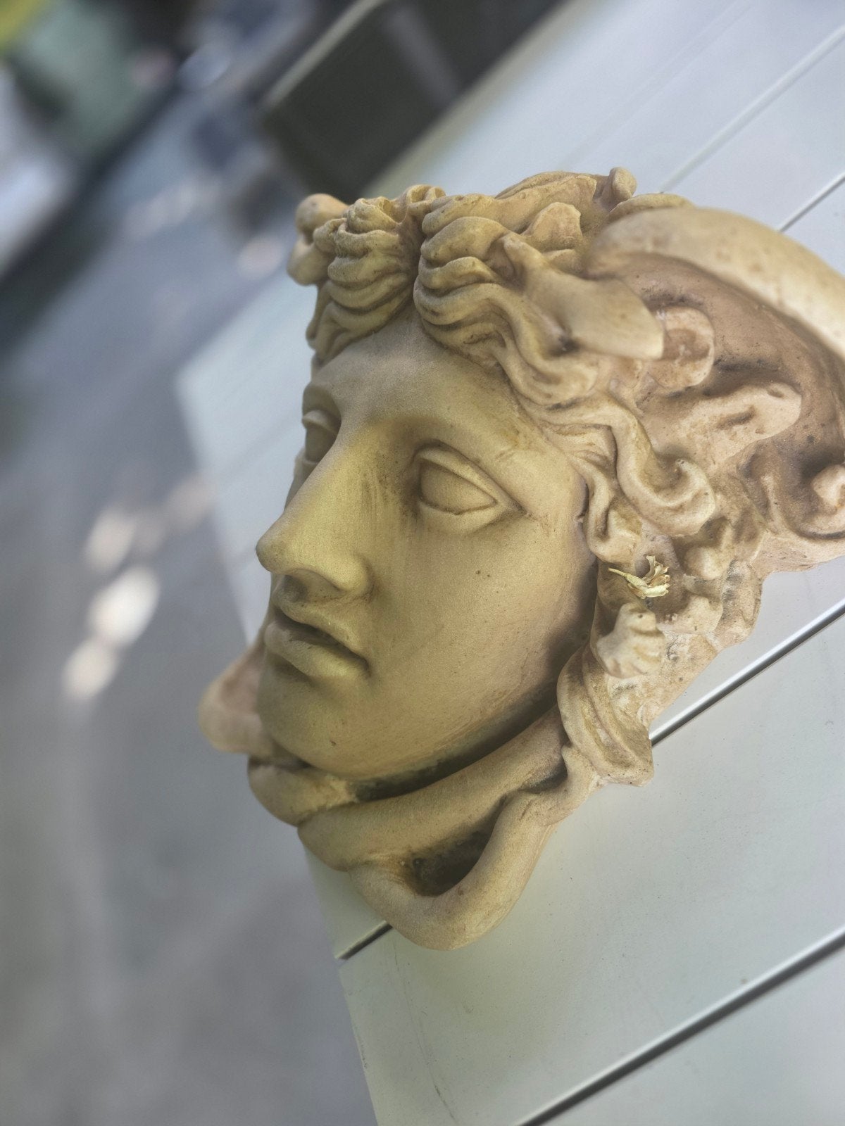 Medusa Rondanini, Enlèvement