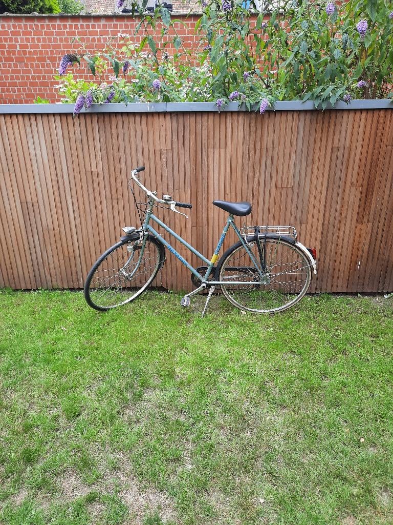 Vélo, Vélos & Vélomoteurs, Vélos | Hommes | Vélos pour homme, Vitesses, Frein à tambour, Batavus, Enlèvement