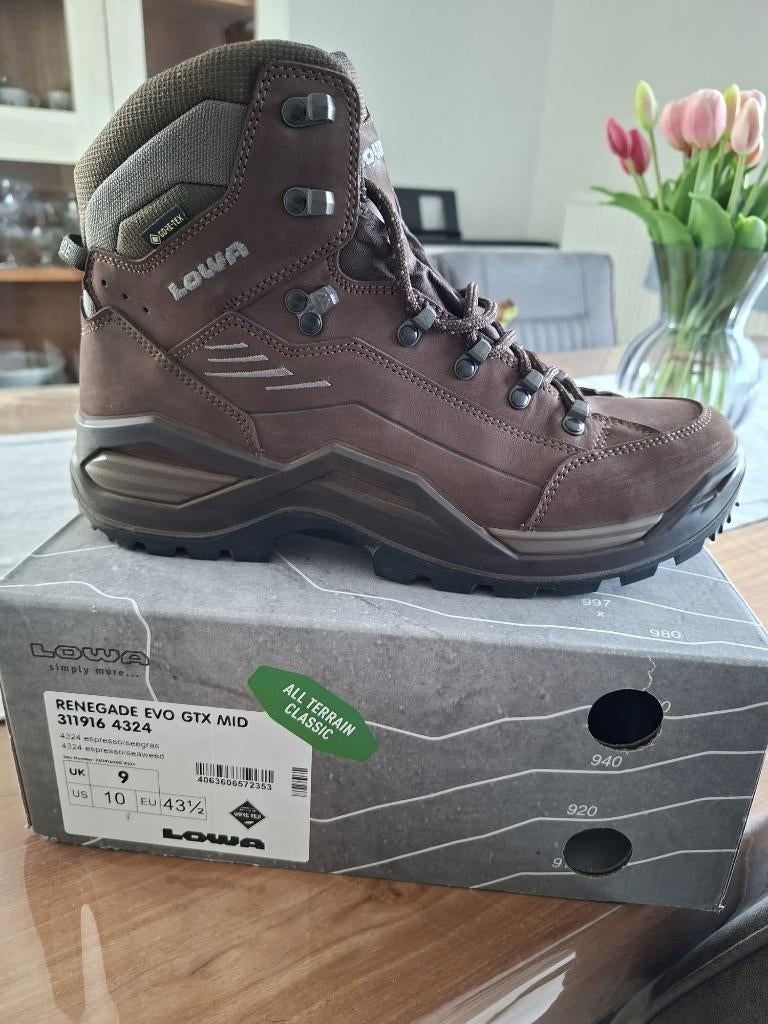 Lowa wandelschoenen maat 43.5, Enlèvement ou Envoi, Neuf, Chaussures