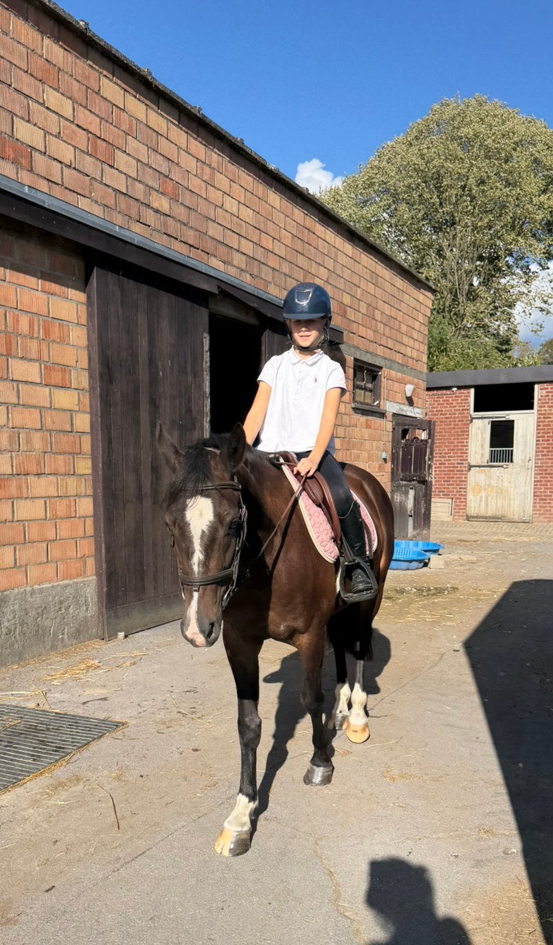 Veelbelovende 3-jarige D-sportpony met TOP afstamming, Débourré