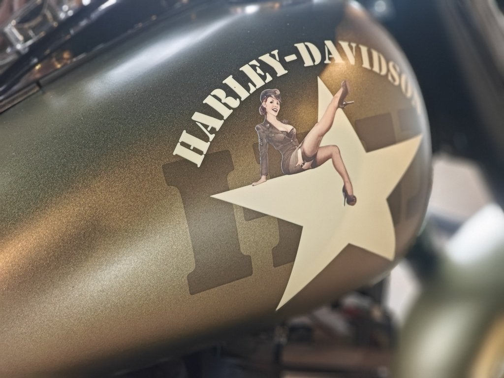 Harley-Davidson SOFTAIL FLSS Softail Slim (bj 2016), Motoren, Harley-Davidson, ABS, Meer dan 35 kW, Overig