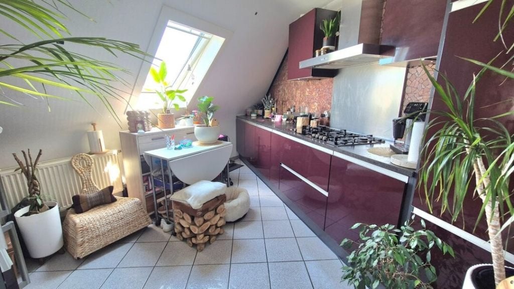 Appartement te huur Roeselare, 50 m² of meer, Provincie West-Vlaanderen